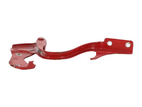 Hinge/Door check strap FIAT 500 (312_) 1.3 D Multijet (312AXE1A) | BP24167608C146