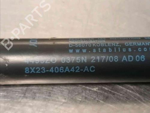 Tailgate lift support JAGUAR S-TYPE II (X200) 3.0 V6 | BP21139107C138 