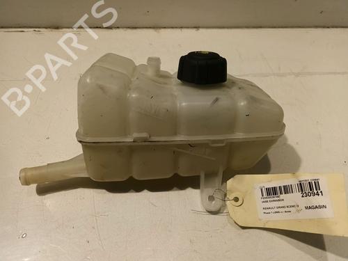 Used Expansion tank RENAULT GRAND SCÉNIC IV (R9_) 1.7 Blue dCi 120 (R9A7, R9A8) (120 hp) 16361300