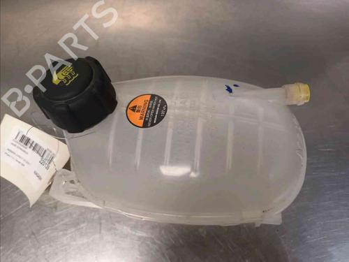 Used Expansion tank NISSAN JUKE (F16_) DIG-T 117 (117 hp) 21139080