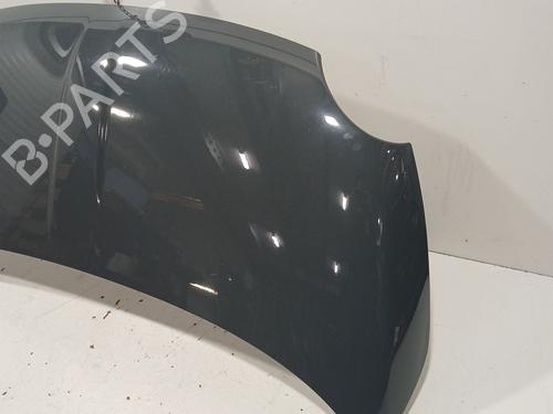 Hood FIAT 500 (312_) 0.9 (312AXG1A, 312.AXG11) | BP29696906C1
