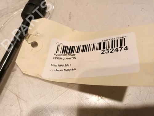 Tailgate lift support MINI MINI COUNTRYMAN (R60) One | BP16979420C138 