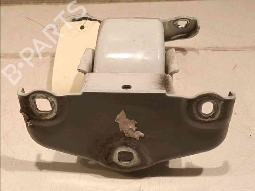 Hinge/Door check strap RENAULT TRAFIC III Van (FG_)  | BP20605164C146