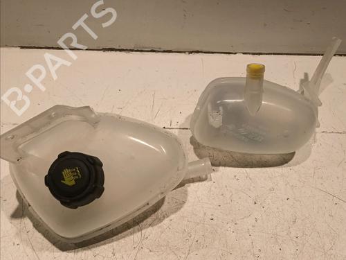 Used Expansion tank RENAULT MEGANE E-TECH SUV EV60 (BNJ1) (218 hp) 18481359