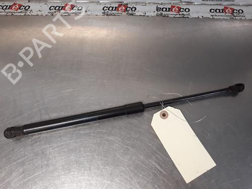 Used Hood lift support VW CADDY III MPV (2KB, 2KJ, 2CB, 2CJ) 1.9 TDI (105 hp) 14866185
