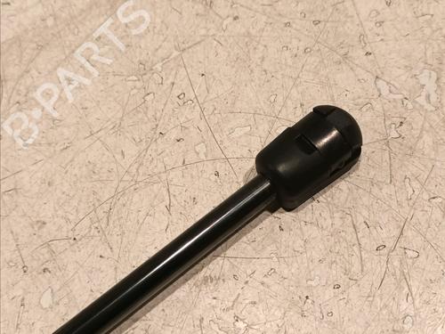 Tailgate lift support CITROËN C4 Coupe (LA_) 1.6 16V | BP18953571C138 