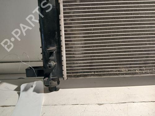 Water radiator DACIA SANDERO II | BP37018978M31 - Image 8