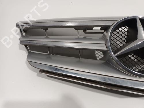 Grille MERCEDES-BENZ B-CLASS Sports Tourer (W245) B 200 CDI (245.208) | BP22718932C40 