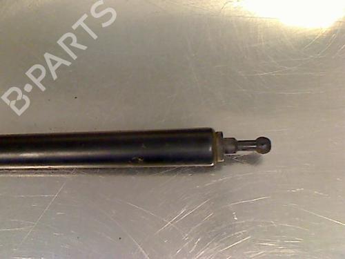Hood lift support RENAULT MEGANE III Hatchback (BZ0/1_, B3_) 1.5 dCi | BP14866161C139 