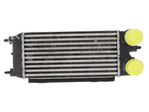 Used Intercooler FORD B-MAX (JK) 1.6 TDCi (95 hp) 26948969