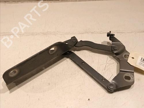 Used Hinge/Door check strap LAND ROVER RANGE ROVER EVOQUE (L538) 2.0 D (150 hp) 16537805