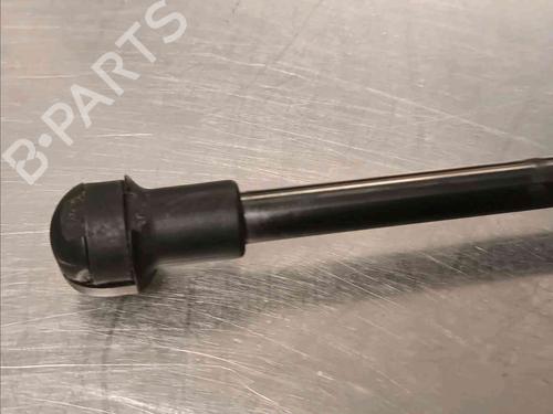 Tailgate lift support NISSAN JUKE (F16_) DIG-T 117 | BP21139078C138 