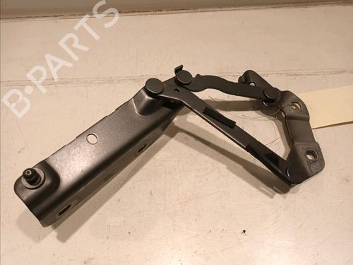 Hinge/Door check strap LAND ROVER RANGE ROVER EVOQUE (L538) 2.0 D | BP16537803C146 