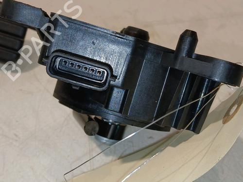 Pedal RENAULT ZOE (BFM_) ZOE (BFMD) | BP17241376I4 