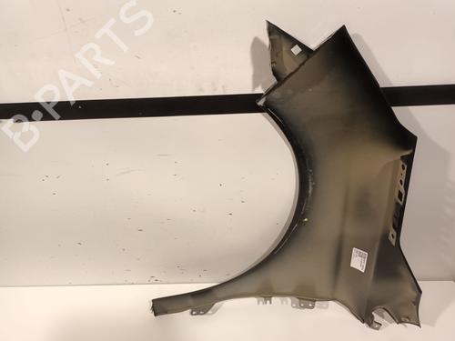 Right front fenders CITROËN C4 II (NC_) 1.6 HDi 90 | BP21565870C42 