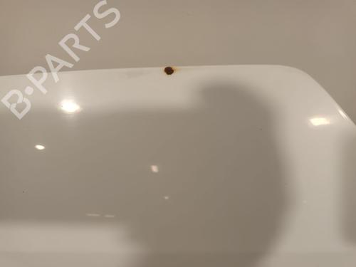 Hood RENAULT MASTER III Van (FV) | BP30919465C1