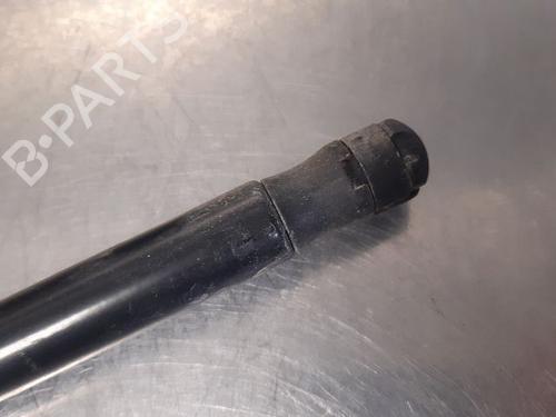 Tailgate lift support RENAULT MEGANE III Coupe (DZ0/1_) 1.9 dCi (DZ0N, DZ0J, DZ1J, DZ1K) | BP14868252C138 