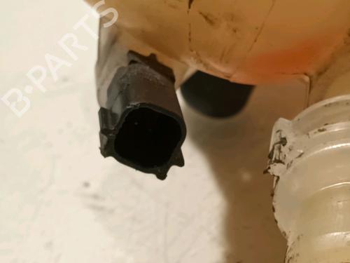 Expansion tank LAND ROVER RANGE ROVER EVOQUE (L538) 2.0 D | BP16537767C120 