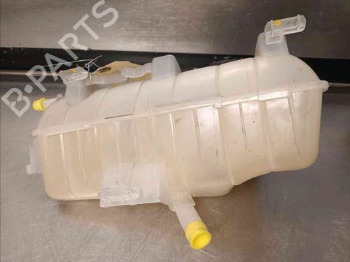 Expansion tank RENAULT KANGOO Express (FW0/1_) 1.5 dCi 70 (FW0A, KW0V) | BP21139103C120 