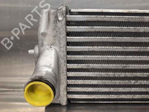 Intercooler CHRYSLER VOYAGER IV (RG, RS) 2.5 CRD | BP30142782M30