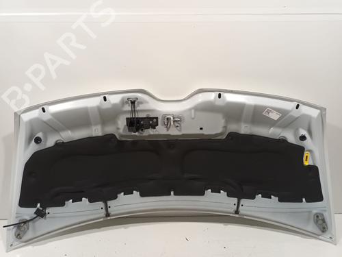 Hood RENAULT MASTER III Van (FV) | BP30919465C1