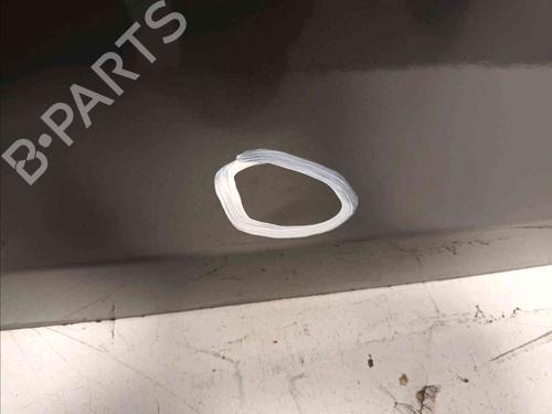 Right front door BMW 1 (E81) 118 d | BP10919616C3 