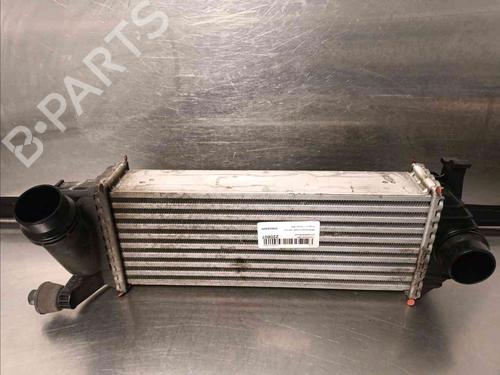 Used Intercooler MERCEDES-BENZ CITAN Box Body/MPV (W415) [2012-2021]  21686013