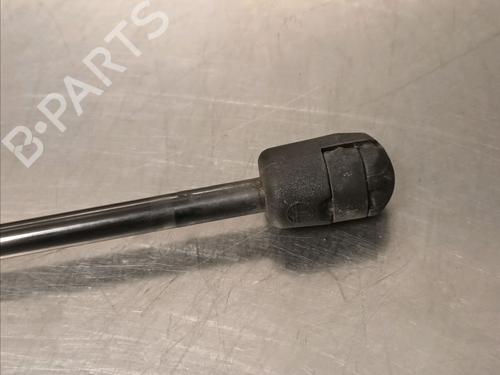 Tailgate lift support RENAULT SCÉNIC II (JM0/1_) 1.9 dCi (JM15) | BP14868426C138 