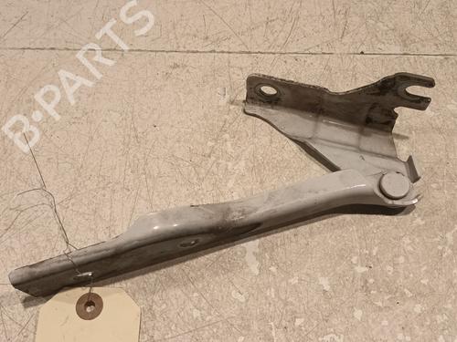 Used Hinge/Door check strap VW POLO V (6R1, 6C1) 1.4 TDI (90 hp) 20608833