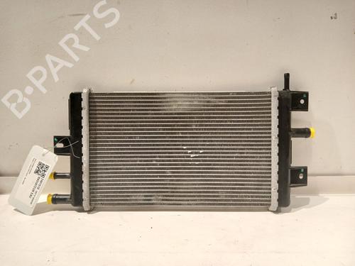Køler DACIA SPRING EV (B6M1) (45 hp) 21168377