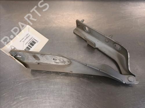 Used Hinge/Door check strap CITROËN C3 I (FC_, FN_) 1.4 i (73 hp) 14866084