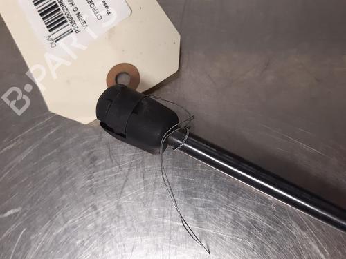 Tailgate lift support CITROËN C4 I (LC_) 1.6 HDi | BP14868300C138 