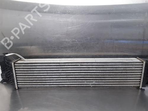 Used Intercooler RENAULT VEL SATIS (BJ0_) 2.0 dCi (BJ03) (150 hp) 21685600