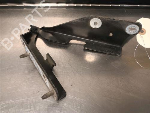 Used Hinge/Door check strap CITROËN C3 Pluriel (HB_) 1.4 HDi (68 hp) 14866064