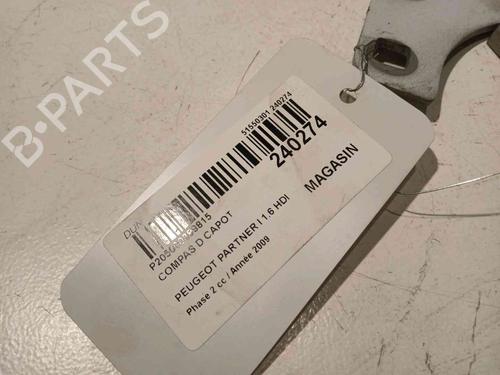 Hinge/Door check strap PEUGEOT PARTNER Box Body/MPV (5_, G_) 1.6 HDi 75 | BP20605675C146