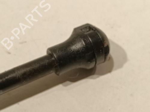Tailgate lift support CITROËN XSARA PICASSO (N68) 1.6 HDi | BP21802131C138 
