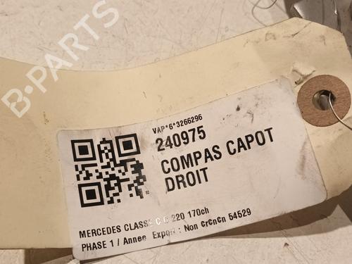 Hinge/Door check strap MERCEDES-BENZ C-CLASS (W204) C 220 CDI (204.008) | BP20607377C146 