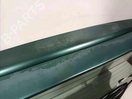 Tailgate RENAULT TWINGO I (C06_) 1.2 (C063, C064) | BP20604768C6 