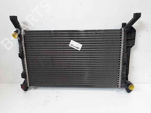 Used Water radiator MERCEDES-BENZ A-CLASS (W169) [2004-2012]  30409460