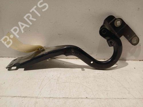 Hinge/Door check strap RENAULT ESPACE V (JR_)  | BP20605999C146 
