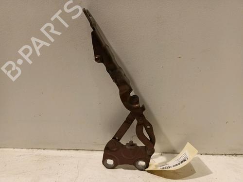 Hinge/Door check strap MINI MINI COUNTRYMAN (R60) One | BP18204204C146 