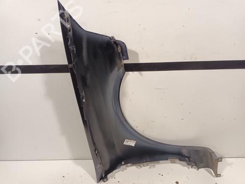 Left front fenders RENAULT LAGUNA II (BG0/1_) 1.9 dCi (BG1A, BG1V) | BP20930972C41 