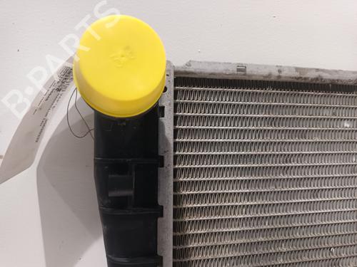 Water radiator BMW X3 (E83) 2.0 d | BP33904694M31 - Image 2