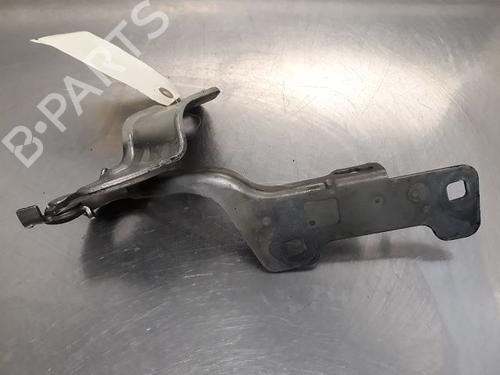 Hinge/Door check strap RENAULT CLIO III (BR0/1, CR0/1) 1.6 16V (BR05, BR0B, BR0Y, BR15, BR1J, BR1M, BR1Y, CR0B,... | BP20599915C146 