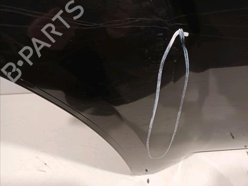 Right rear door NISSAN PATHFINDER III (R51) 2.5 dCi 4WD | BP16276952C5 