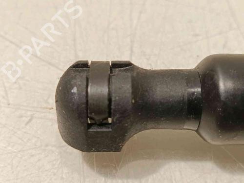 Hood lift support RENAULT EXPRESS Box Body/MPV  | BP20605240C139