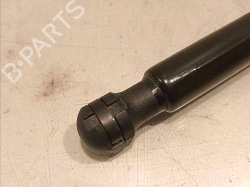 Tailgate lift support RENAULT MEGANE E-TECH SUV EV60 (BNJ1) | BP20604729C138 
