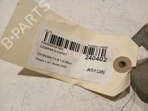 Hinge/Door check strap CITROËN C3 / C3 ORIGIN III (SX) 1.2 PureTech 82 | BP17909931C146 