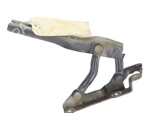 Hinge/Door check strap SKODA OCTAVIA II (1Z3) 1.6 TDI | BP22956215C146 