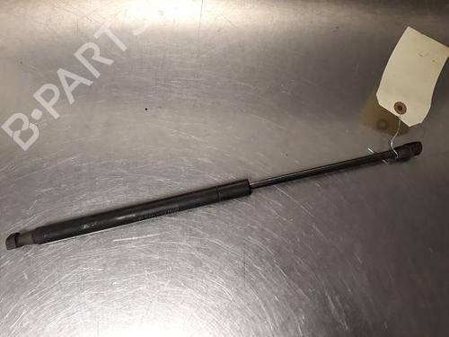 Used Tailgate lift support FIAT PANDA (312_, 319_) 1.2 (312PXA1A) (69 hp) 14867926